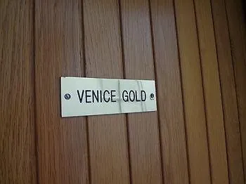 Hotel Gold Venice